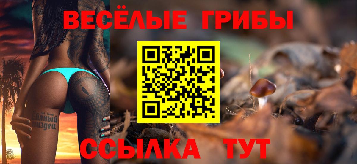 Галлюциногенные грибы мицелий Курганинск